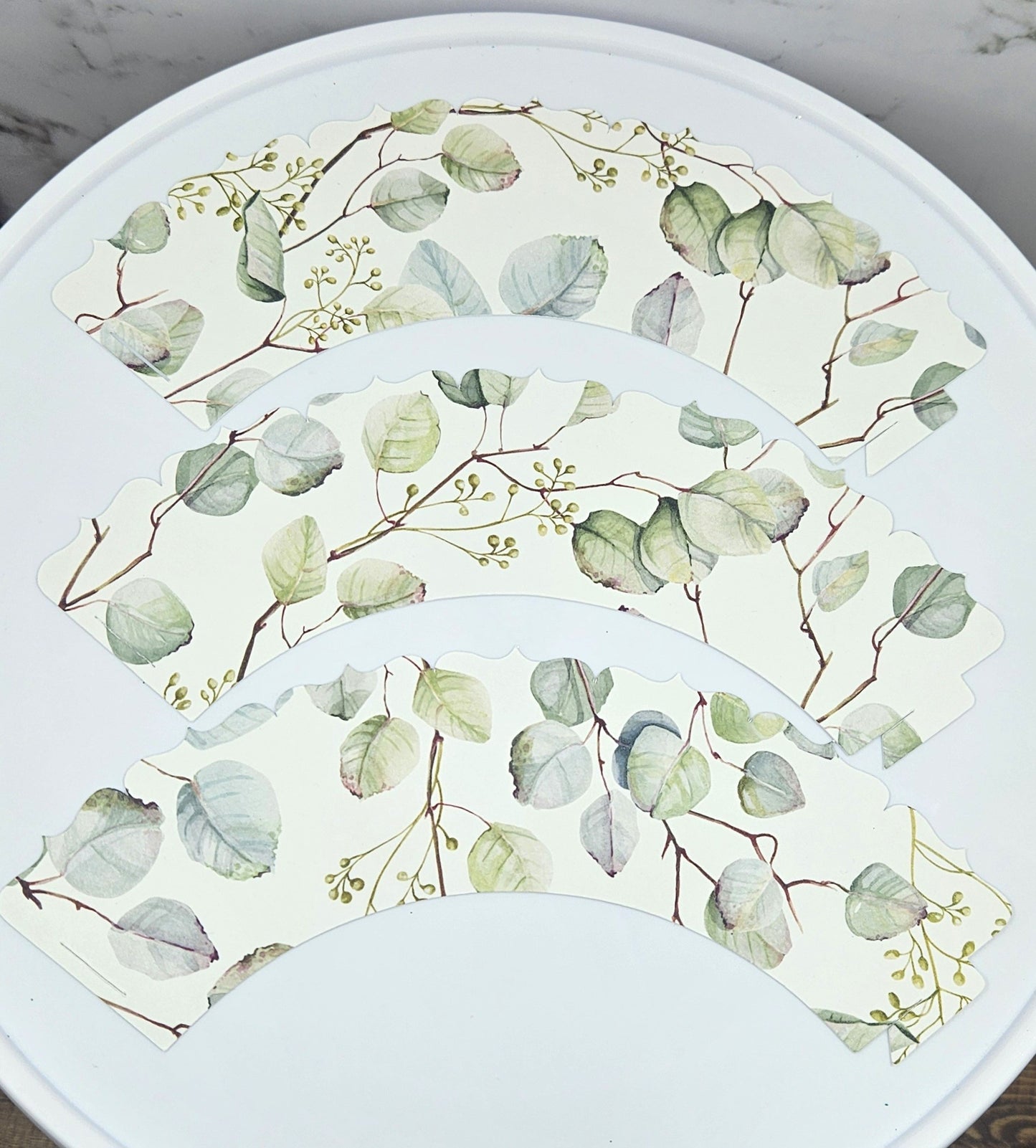 Eucalyptus Cupcake Wrappers