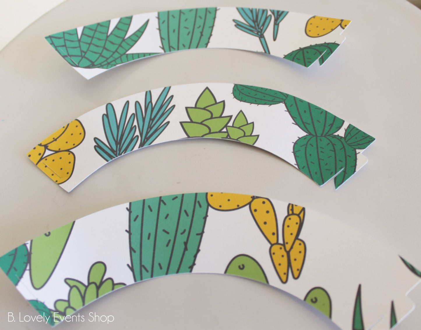 Fun Desert Cactus Cupcake Wrappers